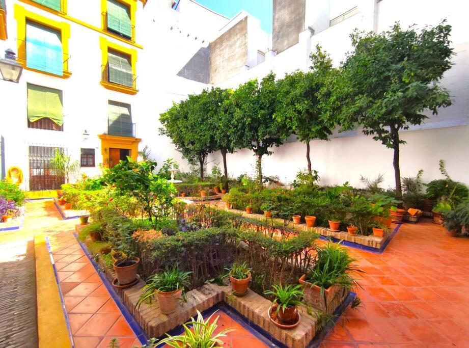 Appartement Plaza Cristo De Burgos à Séville Extérieur photo